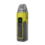 Wasp Yellow